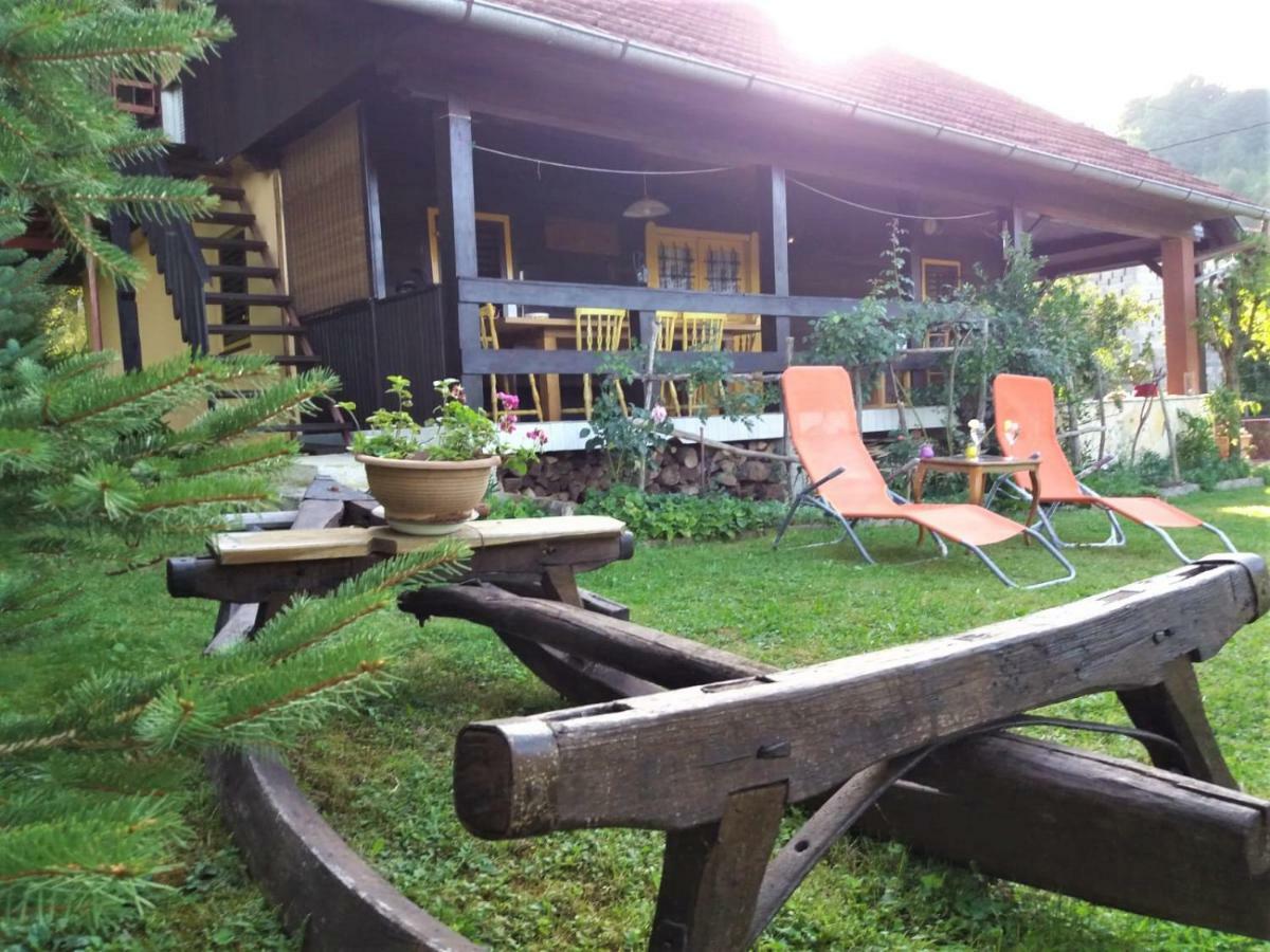 Kuca Viola, Traditional Wooden House In Тухель Екстер'єр фото